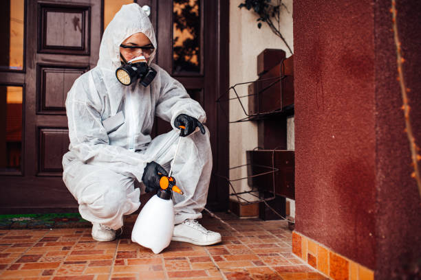Reliable Bed Bug Control contractor in Watertown, SD by Nex Pest Control